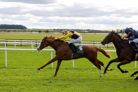 Scorthy Champ wins the 2024 National Stakes at The Curragh