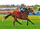 Buckaroo wins the 2024 Underwood Stakes at Caulfield Racecourse
ridden by Joao Moreira and trained by Chris Waller