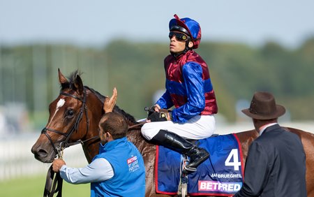 Jan Brueghel after his win in the St Leger at Doncaster