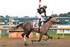 Seize the Grey #2 with Jaime Torres riding won the $1,000,000 Grade I Pennsylvania Derby at Parx Racing in Bensalem, PA on September 21, 2024. Photo by Bill Denver/EQUI-PHOTO.