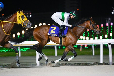 Japanese BC Classic Hopefuls Come Up Short in Prep Race