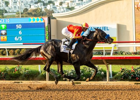 Gaming, a 2024 OBS March Sale graduate, wins the Del Mar Futurity 