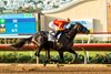 Gaming and jockey Flavien Prat win the Grade I, $300,000 Del Mar Futurity, Sunday, September 8, 2024 at Del Mar Thoroughbred CLub, Del Mar CA.
&#169; BENOIT PHOTO