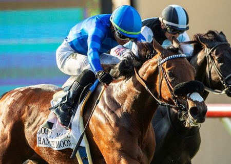 Hang the Moon rallies to win the John C. Mabee Stakes at Del Mar