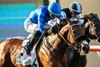 Hang the Moon and jockey Kazushi Kimura win the Grade II, $250,000 John C. Mabee Stakes, Saturday, September 7, 2024 at Del Mar Thoroughbred Club, Del Mar CA.
&#169; BENOIT PHOTO