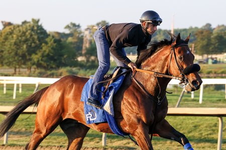 Stronghold gallops at Parx Racing