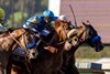 Wathnan Racing’s Subsanador and jockey Mike Smith (center, white shadow-roll) win the inaugural California Crown Stakes, Grade I $1,000,000, on Saturday, September 28, 2024 at Santa Anita Park, Arcadia, CA barely outfinishing National Treasure and Flavien Prat, inside,  and Newgate and John Velazquez, outside. 
 Benoit Photo