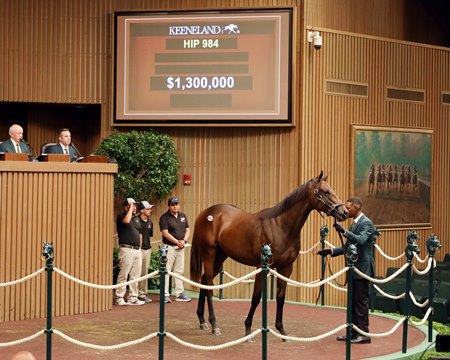 The Nyquist colt consigned as Hip 984 sells for $1.3 million, the top price at the fourth session of the Keeneland September Yearling Sale