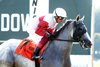 Limited Liability wins the 2024 Blackwood Distilling Nashville Gold Cup Stakes at Kentucky Downs