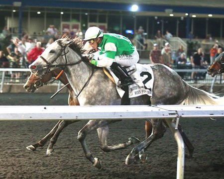 Roses for Debra wins the Presque Isle Downs Masters Stakes at Presque Isle Downs