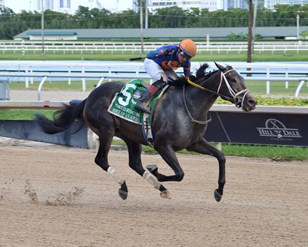 Soul of an Angel wins the Princess Rooney Invitational Stakes at Gulfstream Park