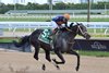 Soul of an Angel wins the 2024 Princess Rooney Invitational Stakes at Gulfstream Park