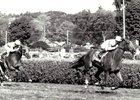 Fourstardave wins the Daryl&#39;s Joy Stakes at Saratoga Race Course in 1991 with Mike Smith aboard, trained by Leo O&#39;Brien, photo by Bob Coglianese