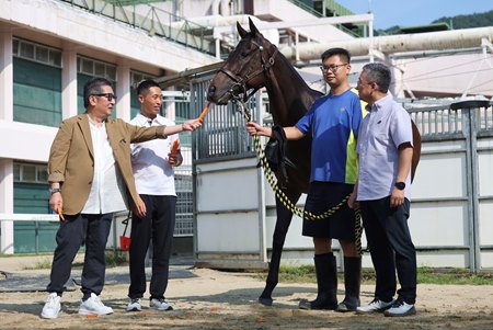 Golden Sixty's connections feed the popular horse a carrot