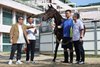 Owner Stanley Chan, trainer Francis Lui and jockey Vincent Ho at Golden Sixty’s retirement announcement.