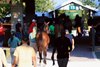 Scenics, 2024 Keeneland September Sale