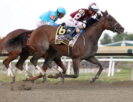 Thorpedo Anna wins the Cotillion Stakes last out at Parx Racing