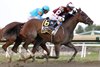 Thorpedo Anna #6 with Irad Ortiz riding won the $1,000,000 Grade I Cotillion Stakes at Parx Racing in Bensalem, PA on September 21, 2024. Photo by Nikki Sherman/EQUI-PHOTO