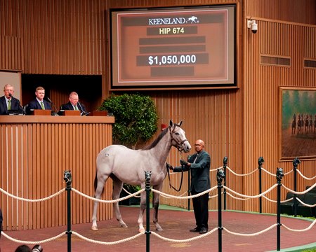 The Tapit colt consigned as Hip 674 sells for $1.05 million at the Keeneland September Yearling Sale
