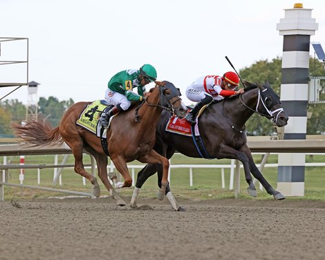 Bentornato Posts First Graded Stakes Win in Gallant Bob