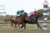 Bentornato #1 with Irad Ortiz, Jr. riding won the $400,000 Grade II Gallant Bob Stakes at Parx Racing in Bensalem, PA on September 21, 2024. Photo by Nikki Sherman/EQUI-PHOTO