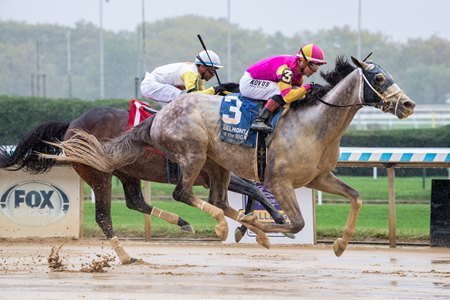 Tapit Trice wins the Woodward Stakes at Aqueduct Racetrack