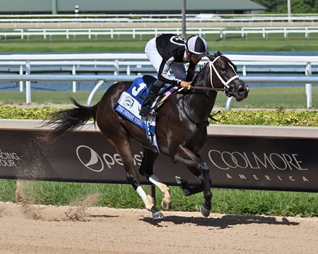 R Morning Brew wins the FTBOA Florida Sire Desert Vixen Stakes at Gulfstream Park