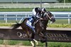 R Morning Brew wins the 2024 FTBOA Florida Sire Desert Vixen Stakes at Gulfstream Park