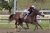 Thorpedo Anna #6 with Brian Hernandez riding won the $1,000,000 Grade I Cotillion Stakes at Parx Racing in Bensalem, PA on September 21, 2024. Second was Gun Song #7 with John Velazquez. Photo by Bill Denver/EQUI-PHOTO.