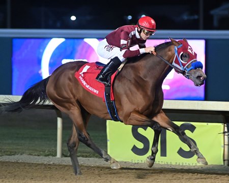 Seventeen Black wins the 2024 Governor Terry E. Branstad Stakes at Prairie Meadows