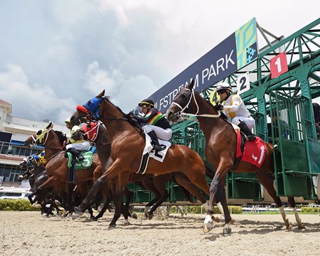 Racing at Gulfstream Park