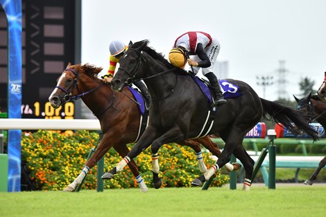 Lugal Upsets Locals, HK Raiders in Sprinters Stakes