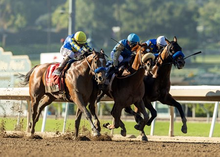 Racing at Santa Anita Park