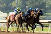 Wathnan Racing’s Subsanador and jockey Mike Smith (center, white shadow-roll) win the inaugural California Crown Stakes, Grade I $1,000,000, on Saturday, September 28, 2024 at Santa Anita Park, Arcadia, CA barely outfinishing National Treasure and Flavien Prat, inside,  and Newgate and John Velazquez, outside. 
 Benoit Photo