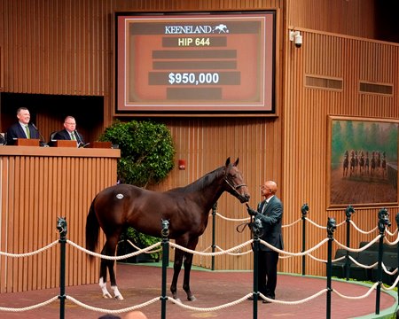 The McKinzie colt consigned as Hip 644 in the ring at the Keeneland September Yearling Sale