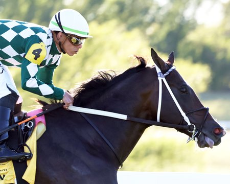 If Cogburn can land a fourth straight graded stakes win in the Breeders' Cup Turf Sprint, he would figure to receive strong consideration for an Eclipse Award