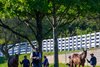 Yearlings being shown
Scenes from the Keeneland September sale near Lexington, Ky., on Sept. 18, 2024. 