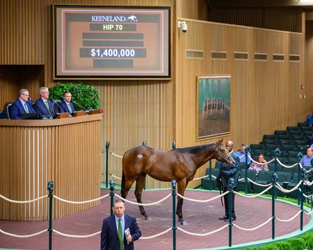 The Charlatan colt consigned as Hip 70 at the Keeneland September Sale