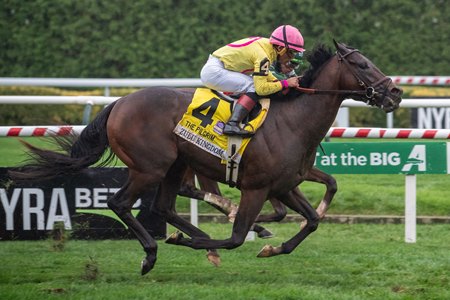 Zulu Kingdom rallies to victory in the Pilgrim Stakes at Aqueduct Racetrack