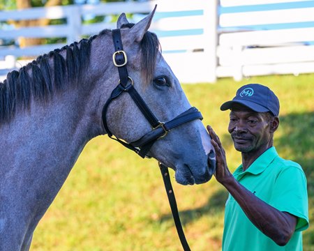 Steve Mitchell with a yearling from the Machmer Hall Sales consignment at the Keeneland September Yearling Sale