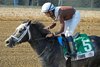 Post Time wins the 2024 Polynesian Stakes at Laurel Park