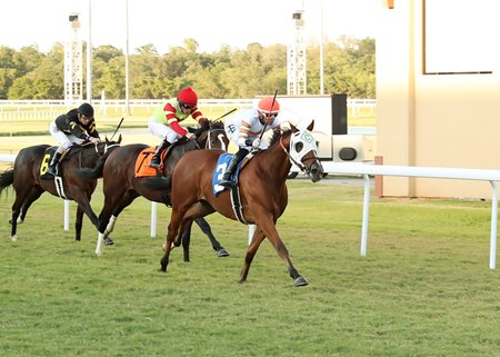 Gunny Highway breaks his maiden at Remington Park