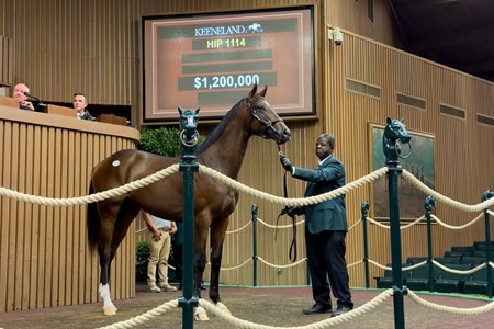 Hip 1114 becomes the second seven-figure Nyquist colt during Day 4 of the Keeneland September Yearling Sale