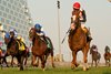 Toronto ON.September 14, 2024.Woodbine Racetrack.Jockey Patrick Husbands guides Win for the Money in the $1,000,000 dollar Rogers Woodbine Mile.Win for the Money (white red dots red cap black sleeves) is owned by Live Oak Plantation and trained by Mark Casse.Woodbine/ Michael Burns Photo