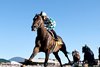 Cogburn wins the 2024 Turf Sprint Stakes at Kentucky Downs