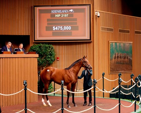 Hip 2197, a colt by McKinzie out of Ruby Trust at the Keeneland Sept. Sale, consigned by Gainesway.