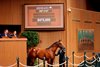 Hip 2197,  2024 Keeneland September Sale