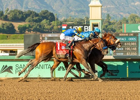 Subsanador (between horses) wins the California Crown Stakes at Santa Anita Park