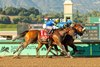 Wathnan Racing’s Subsanador and jockey Mike Smith (white shadow-roll) win the inaugural California Crown Stakes, Grade I $1,000,000, on Saturday, September 28, 2024 at Santa Anita Park, Arcadia, CA barely outfinishing National Treasure, inside,  and Newgate (#1), outside. 
 Benoit Photo