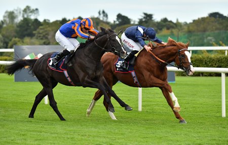 Economics (inside) defeats Auguste Rodin by a neck in the Irish Champion Stakes at Leopardstown